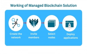 Top Managed Blockchain Solutions Companies USA